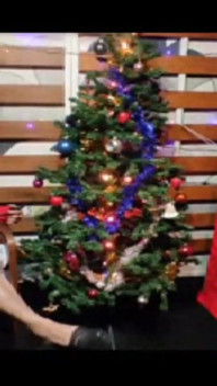 継母クリスマス ドミナトリックス 4