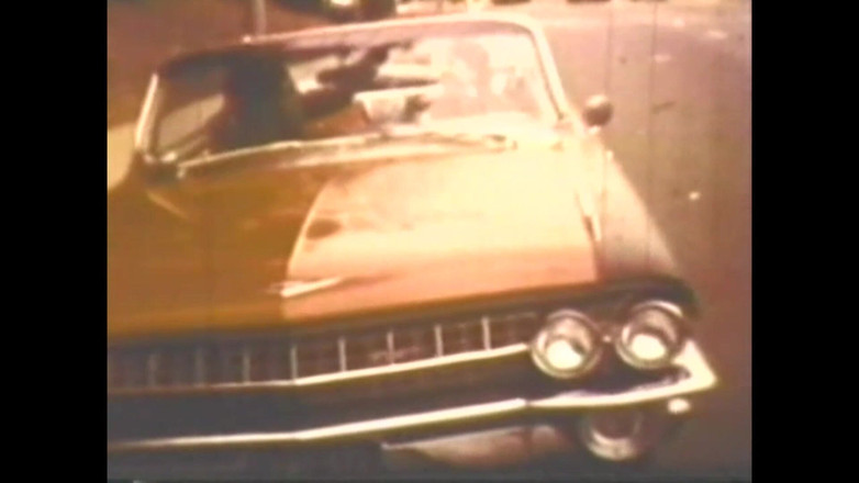 Vintage Megastore Full hd: Вульгарная капризная свинья