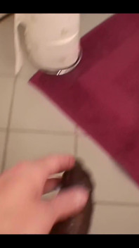 Fucking on the Toilet