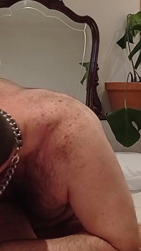 Holidays Bears Fuck Better
