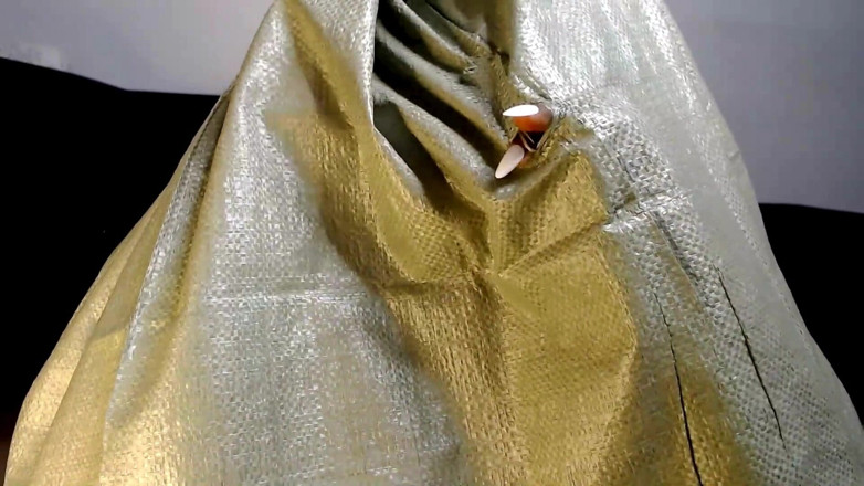 Maeling: 老吉普赛增长袋 - 一个巨人不断扩大的传家宝诞生，成长恋物癖，转型幻想