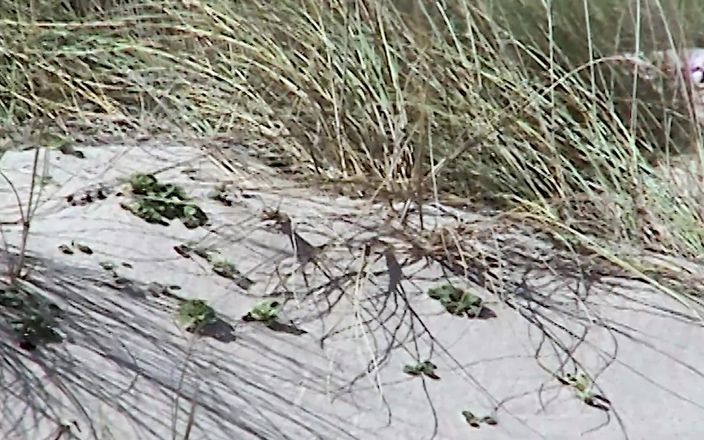 Beachbitches: Heiße brünette nackt in den Dünen