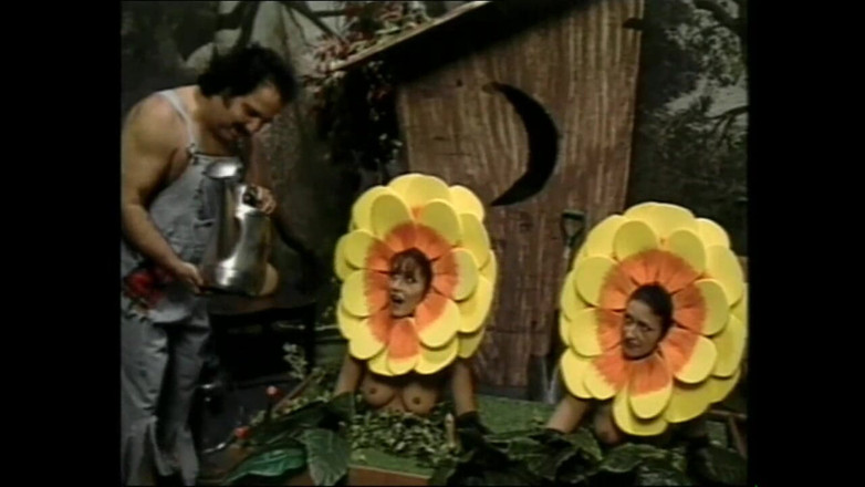 MCG Empire: Zapylanie plemników