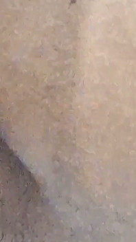집에서 혼자 있는 여친; 여친의 거친 로맨스 파트 -1; HD 힌디어; 리얼 홈메이드