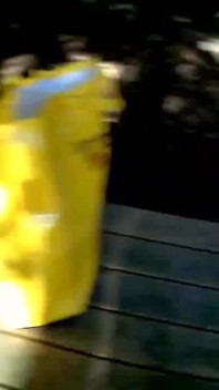 Spazieren Sie im park