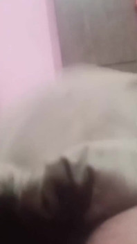 Dasi setup sangat hot ngentot memek ciuman