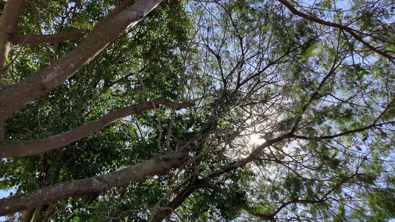 More Candy: 普通のデートのはずだったのに、人生で一番狂ったセックスに変わってしまった!