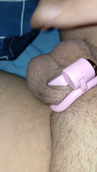 Mariquita clítoris castidad pequeña polla Alicia Smallz