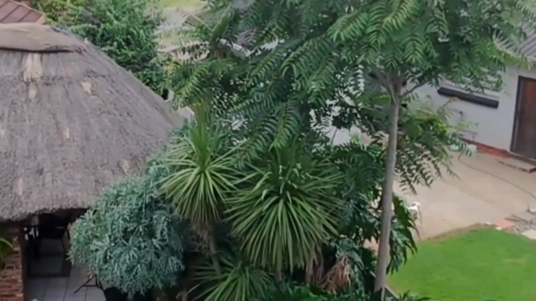 Bigjoefuckalott: Tertangkap jiran saya berkongkek semasa bermain dengan drone saya