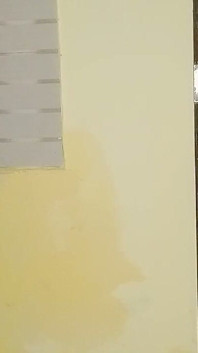 펠라로 그녀를 설득하지만 그녀는 기분이 아니었다