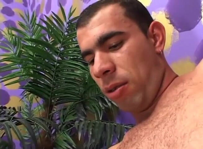 Shemale World: Černá shemale mi rozbíjí zadek!