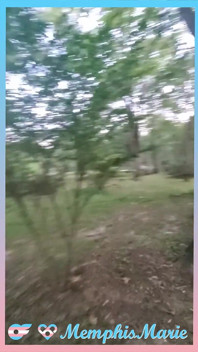 Travesti hace garganta profunda y toma preñada a pelo al aire libre