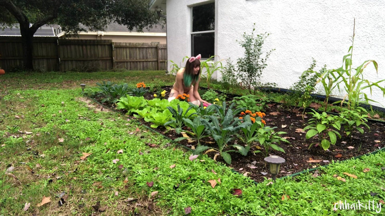 kactus kutie: Kitty Kums en el kale