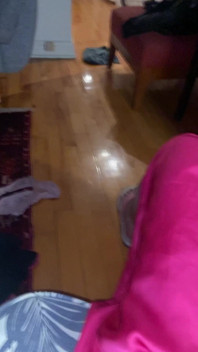 Ma Bitte Est Incroyablement Agitée