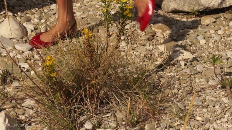 Queen Snake: Sinderella on the Beach