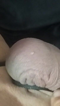 Dicker Harter Sack