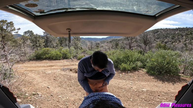 BBW Pleasures: 트레일 퀵리