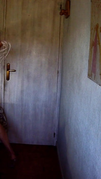 Slutcarla Mature Shemale Hooker