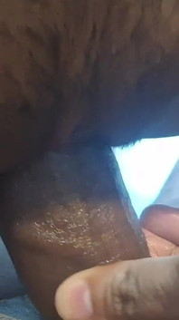 Hotel o sex 1