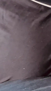 Ti morderò il cazzo e poi cavalca il mio grosso culo mentre le mie grandi tette rimbalzano sul cazzo fino a quando non sborrerai nella mia figa bagnata