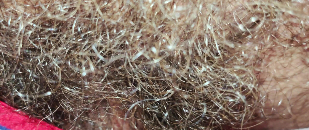 Stink HairyMale: Celana Boxer - Keinginan