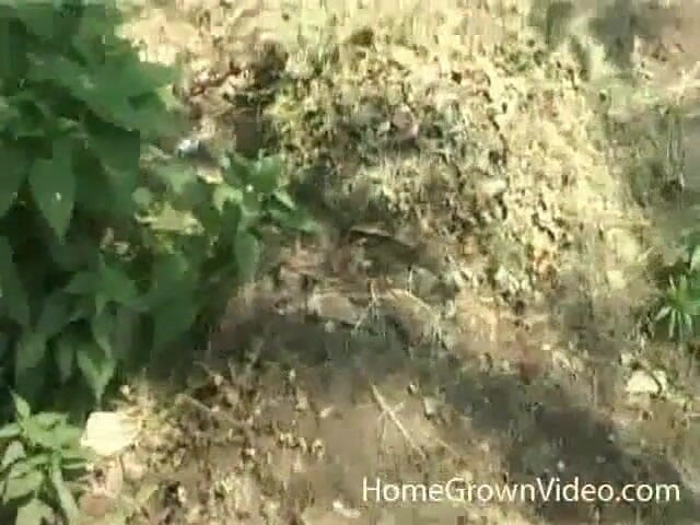 Homegrown Anal Sex: ลูน่าต้องการมากกว่าแค่ซ่อมรถ