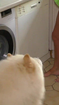 Kurviga MILF:s söndag morgon