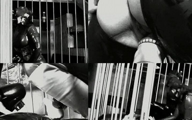 Deutsche Dominanz: 乳胶中的女主调教