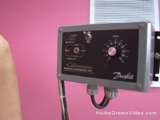 Homegrown Swingers: Paris amcığını seks makinesine siktiriyor