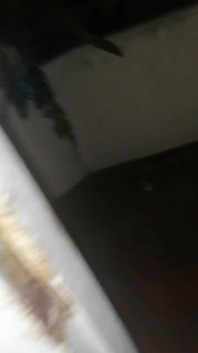 My Real House Maid Was Just About to Get It