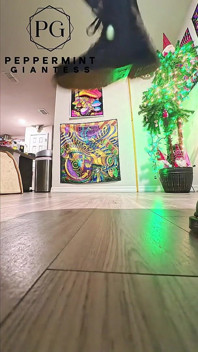 6'7 giantess trong doc martens stomping hard vicious slow-mo stomps