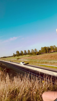 Nagi wzdłuż autostrady