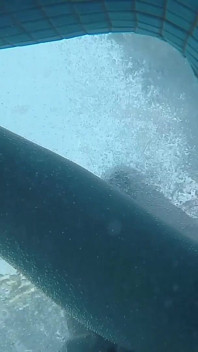 Amateur Pale Skin Redhead Guy with Hot Smooth Bum Caught Soft Playing (handjob, Footjob, Quick Blowjob, Ass Playing) Underwater