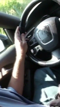 Junger Bais alt im Auto