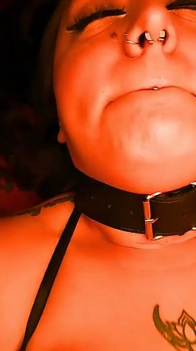 Bull Bang Gang Official: レッドルームのビッグ・ブーティ・ラティーナ