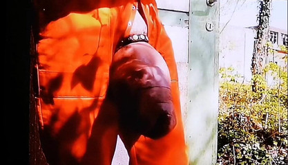 Monster_Meat_: Venku honění a vyboulení