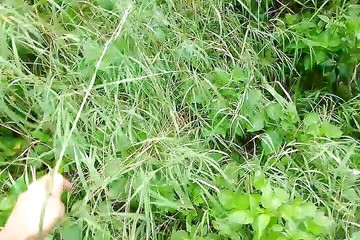 Gangbang straight: Viděl jsem ženu, utekl, masturboval a močil.