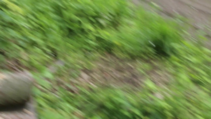 Bouncy Tits Action: Whipping pussy near road completely naked