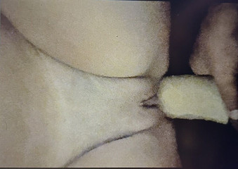 Shebad: Dev yarak! Küçük amcık fışkırtıyor!