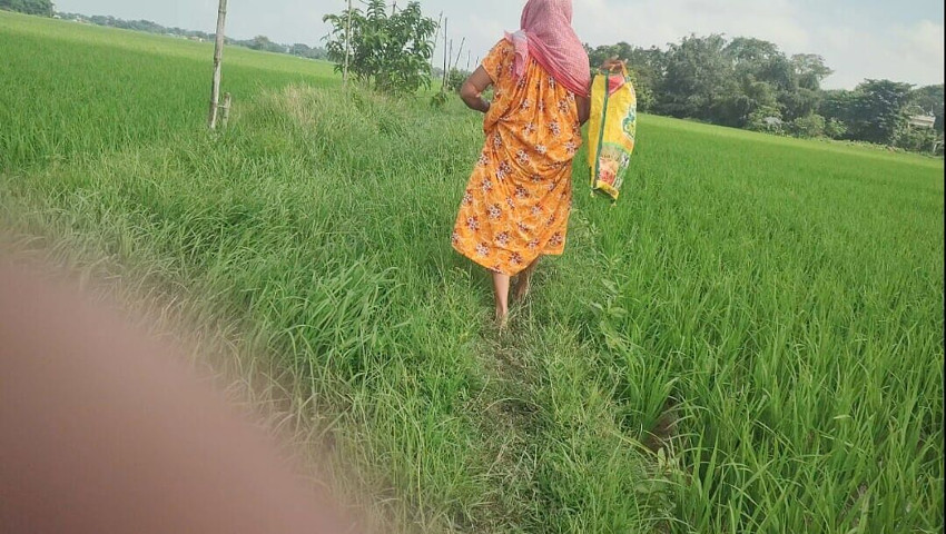Village granny pee in the field