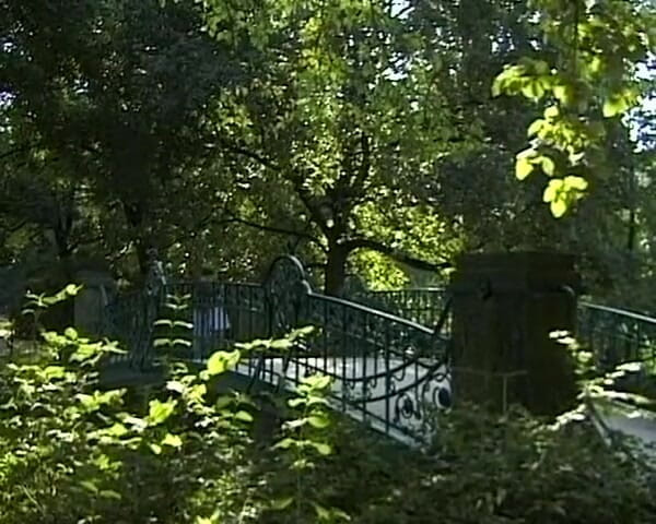Busty German Sluts: This Naughty German Teen Enjoy Anal Penetration in Park