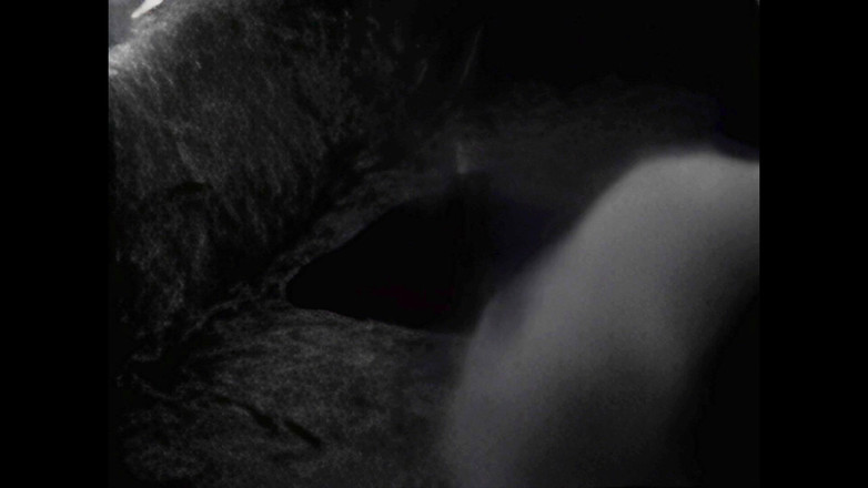 Mark Hannes: 1996년 첫 리얼 웹캠으로 혹 자위 흑백