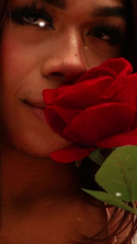 Romantic Day