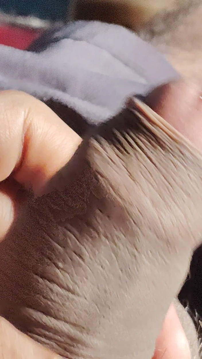 Xxxboyengi: Deshi Chlapec masturbace