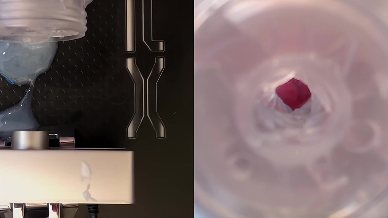 NakedFoxx: 이중 캠 Fleshlight 섹스와 격렬한 오르가즘: 에픽 정액 폭발 내부!