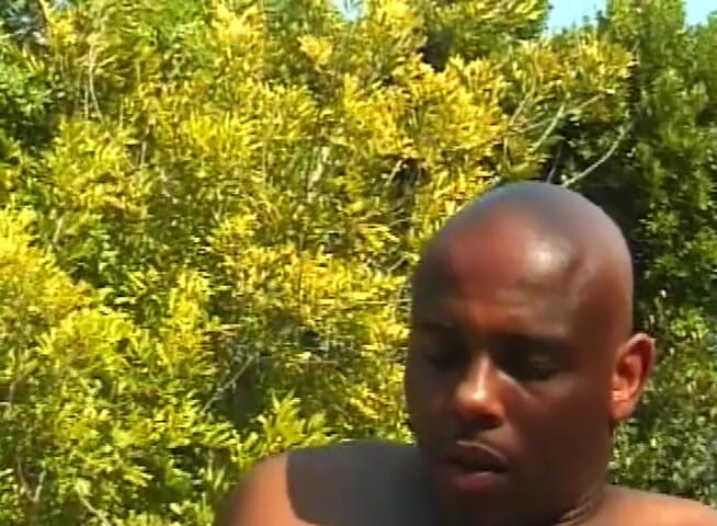 Black Jass: Puta de ébano lamida de coño follada al aire libre