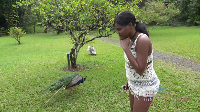 ATK Fans (Girlfriends): Virtual vacation in Hawaii with Yara Skye 7/11