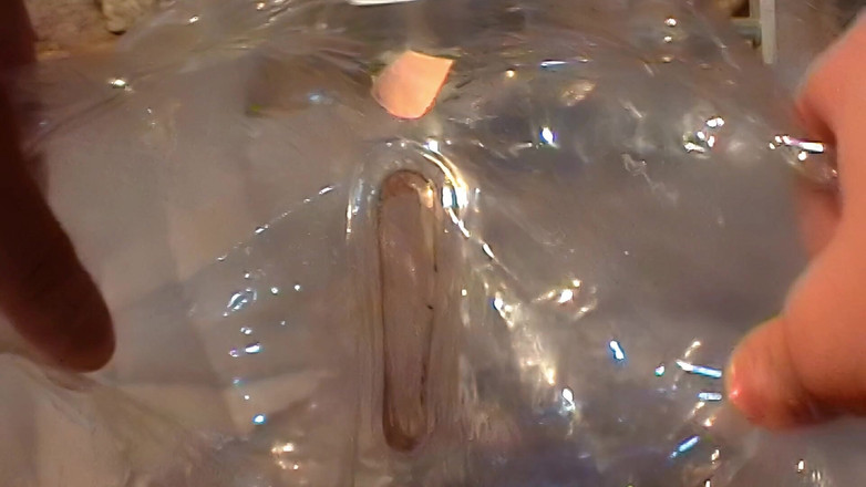 Mark Hannes: Cleardoll creampie fick masturbation