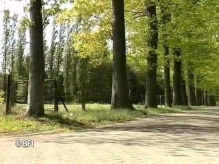 Naughty by nature in Holland: Xkiss - Cafe Tramhalt, part  1