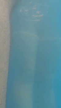Sexe secret risqué dans la piscine avec une demi-sœur et son beau-père distrait au barbecue